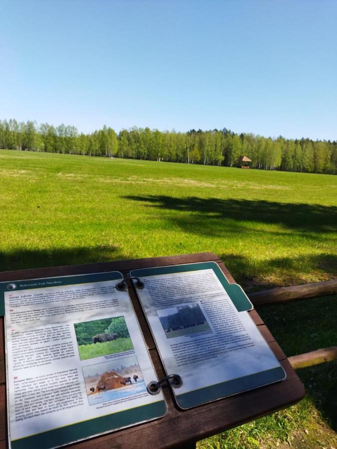 Przy Lesie Villa Bialowieza Exterior photo